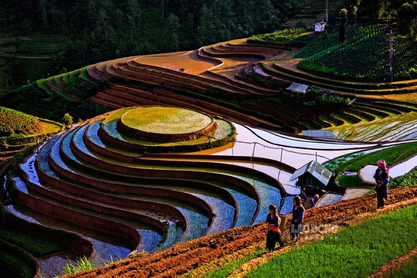 Top 07 Best Things To Do In Mu Cang Chai, Vietnam Top 07 Best Things To Do In Mu Cang Chai, Vietnam